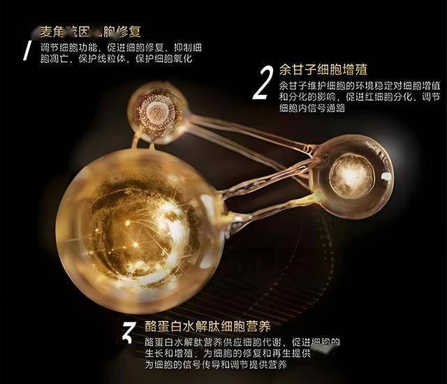 众汇wetrade官网税友股份603171中签率出炉 603171税友股份中签号公布时间